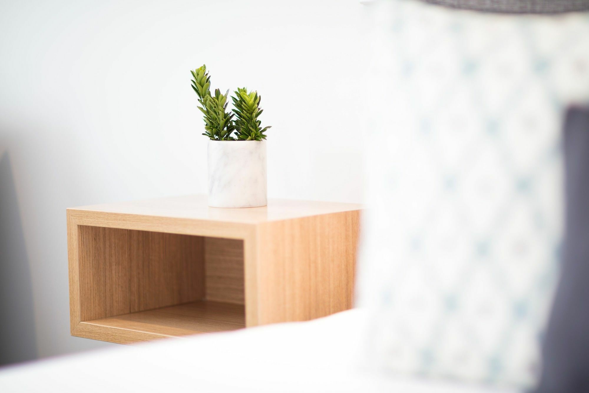 דנידין Beechwood Boutique Accommodation מראה חיצוני תמונה