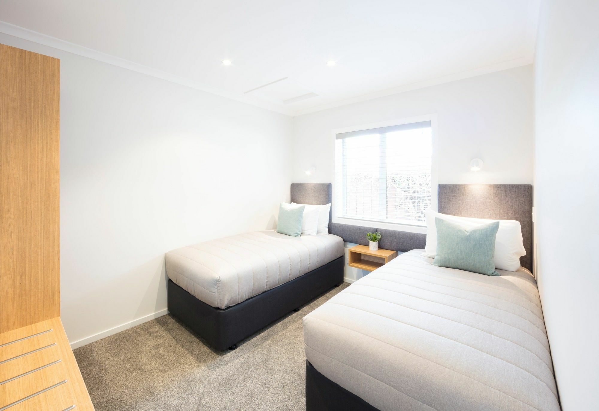 דנידין Beechwood Boutique Accommodation מראה חיצוני תמונה
