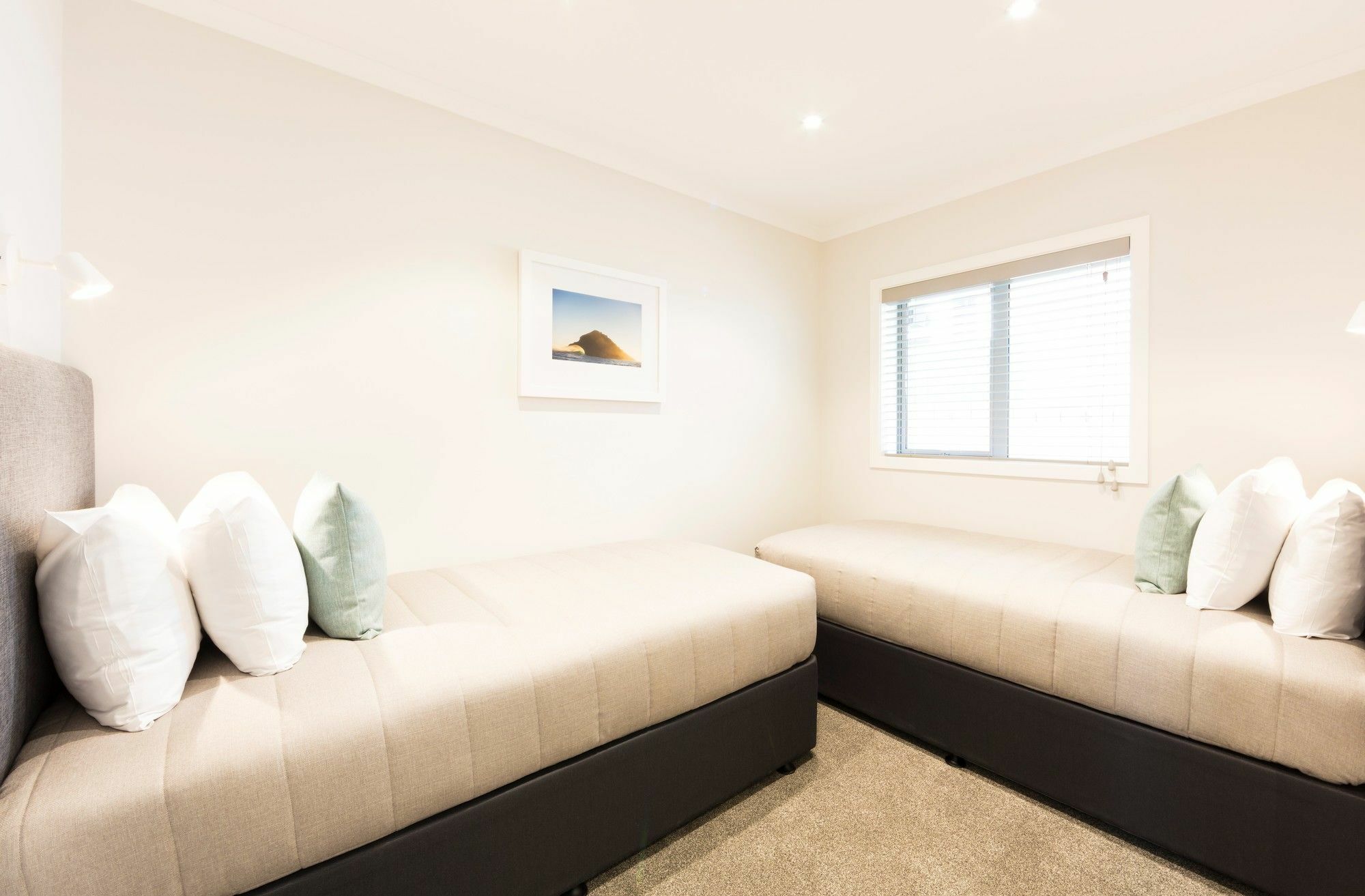 דנידין Beechwood Boutique Accommodation מראה חיצוני תמונה